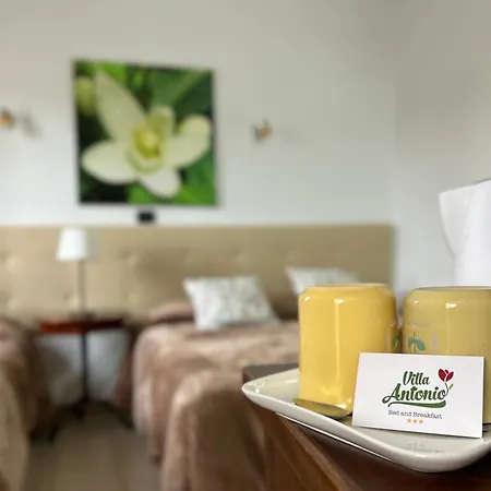 Da Antonio Alojamento de Acomodação e Pequeno-almoço